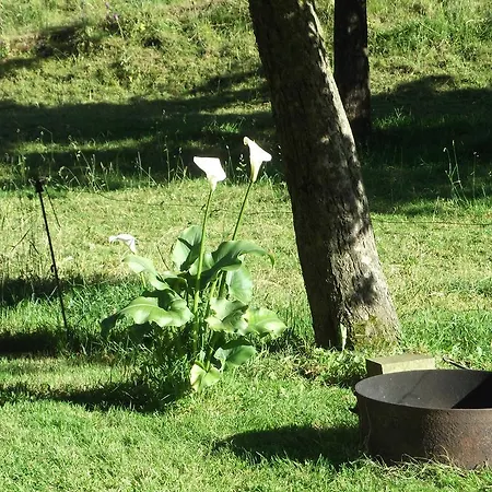 Petite Maison Au Bord De L'eau Casa di campagna *